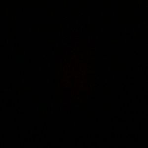 Meet your Posher, Denis